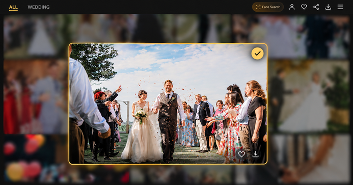 Photo Selection Tool Mobile Interface